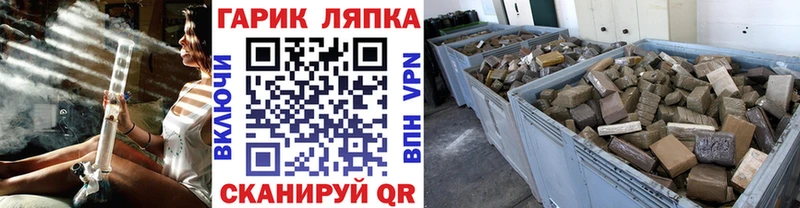 ГАШ Premium  Верхний Тагил 