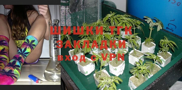 экстази Богданович