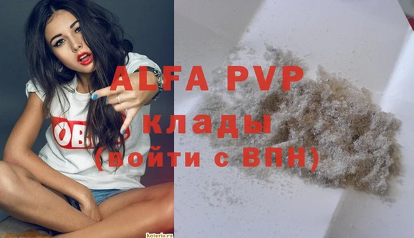 экстази Богданович